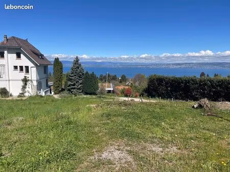terrain à vendre 1000m2 neuvecelle