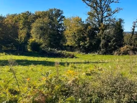 terrain 1 544 m² saint junien