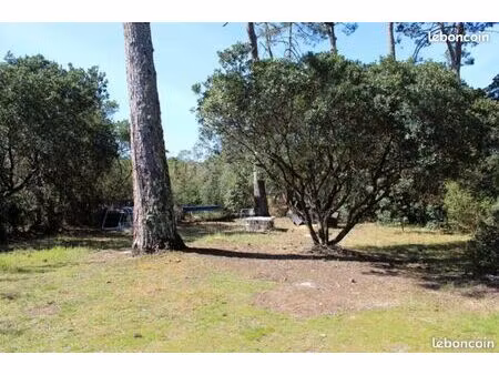 terrain boisé avec maison à démolir