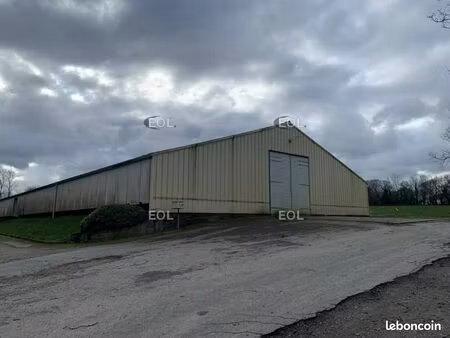local industriel 900 m²