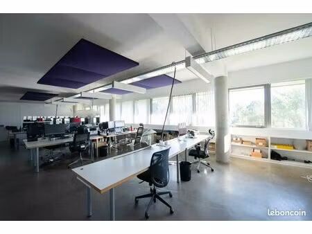bureaux 363 m² bruges