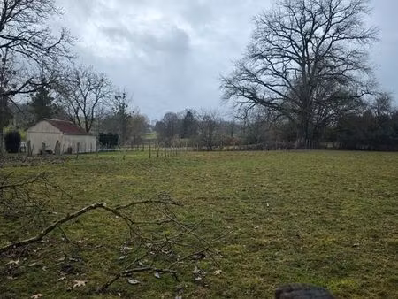 terrain 2500 m2 viabilisé