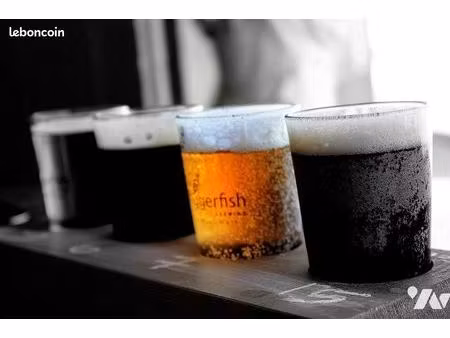 local divers 400 m² geneston