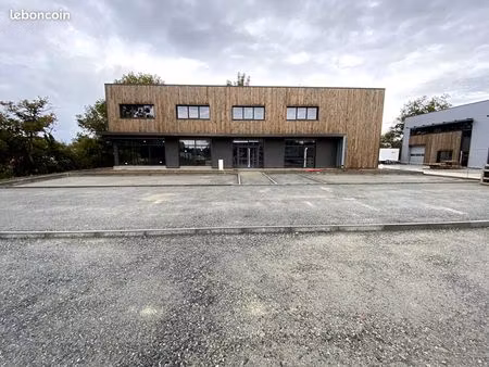 local 350 m² treillieres