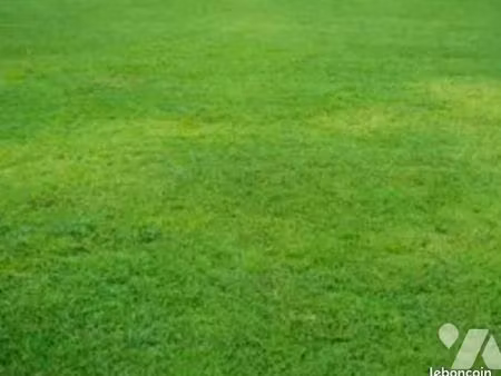 local divers 7625 m² vigneux de bretagne