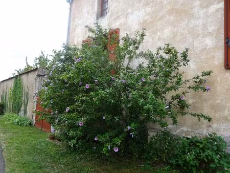 dans les maranges  a l'écoute des oiseaux