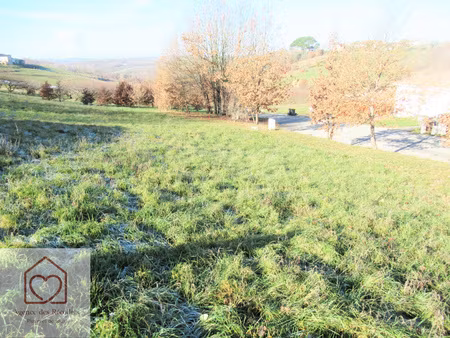 terrain moissac 1143 m2