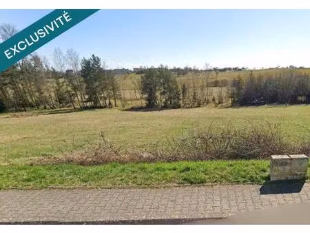 beau et grand terrain