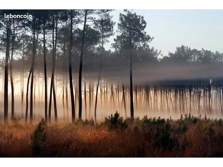 parcelles forestière 5.80 naujac sur mer