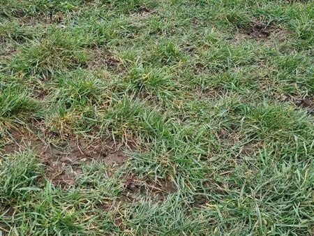 recherche terrain agricole