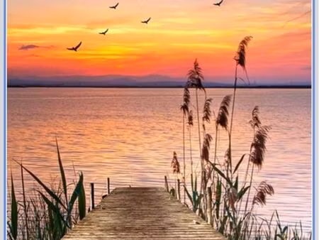 recherche  maison à louer canton de fayence