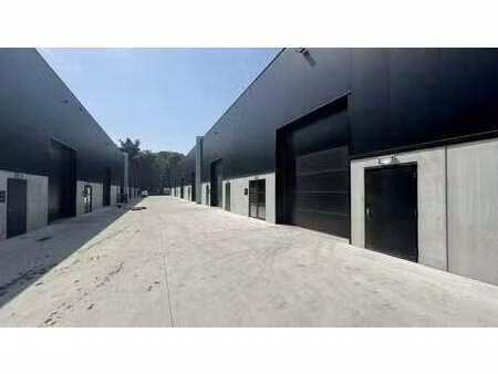 nouvelle construction de hangar à louer à buggenhout