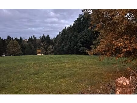 terrain limoges m² t- à vendre  250 000 €
