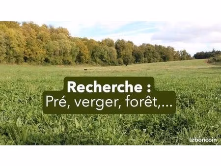 pré  verger  forêt ...