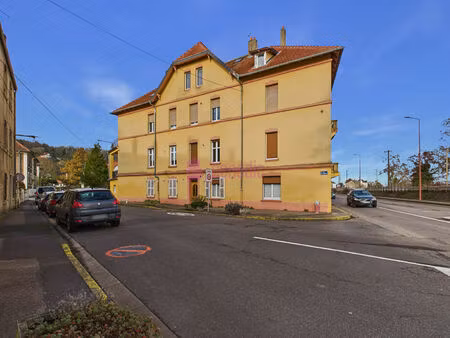 appartement duplex 78 m² - 3 chambres - longeville-lès-metz - vue moselle