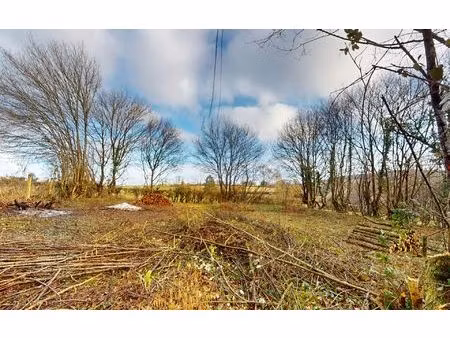 terrain savianges m² t- à vendre  20 000 €