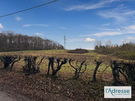 vente terrain  43000.00m²  les hogues