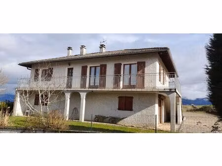 vente maison 8 pièces 172 m² velanne (38620)