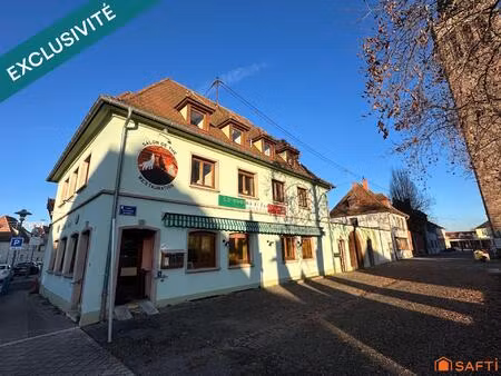 vente immeuble 330 m² marckolsheim (67390)
