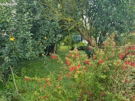 terrain 1 000 m² saintry sur seine