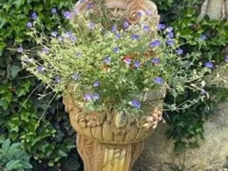 studio meublé avec grande terrasse en centre ville de palaiseau