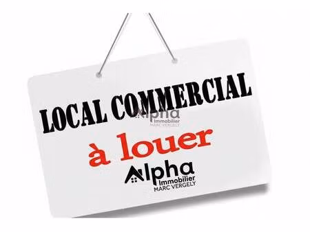 sarl alpha immobilier