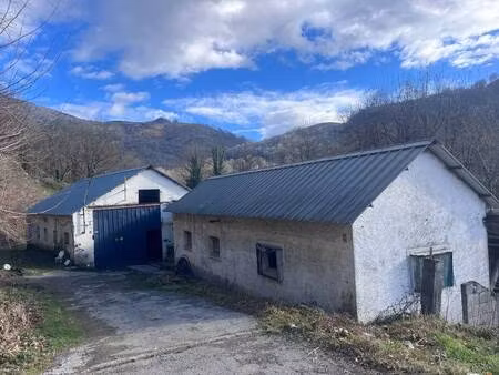 peyregne nelly capifrance