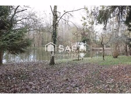 safti pinon véronique conseiller indépendant