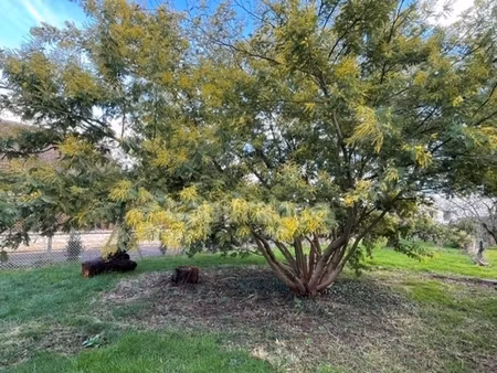 terrain constructible de 450m2 à vendre osny (95)