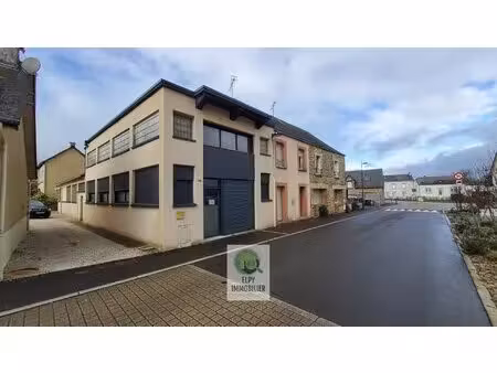 location local professionnel 50m² la dominelais 35390