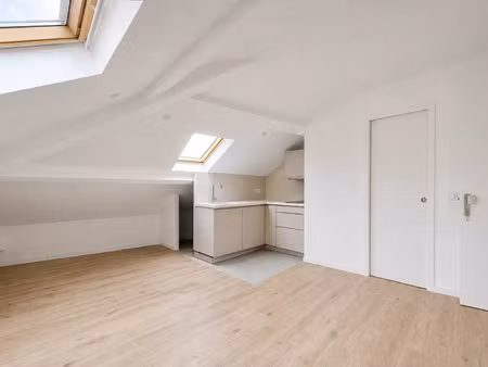 studio rénové - coulée verte