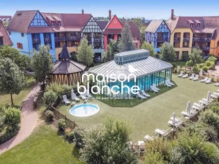 investissement lmnp - eguisheim (68)