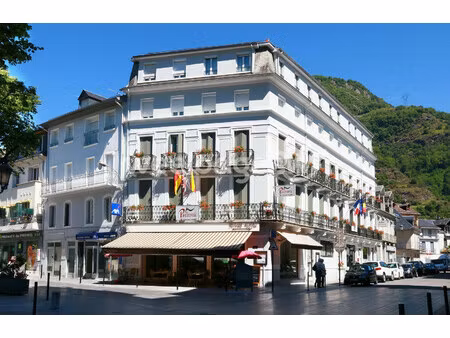 vente murs commerciaux hotel