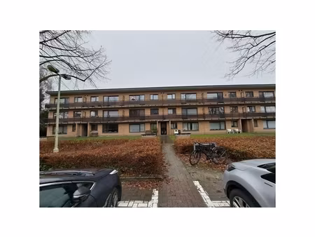 appartement te huur in westmalle met 2 slaapkamers