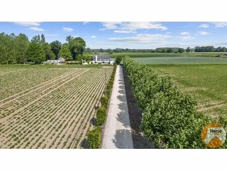 rummen - charmant landhuis op idyllische locatie op 1ha54