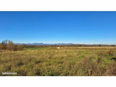 terrain 450 m² dannemarie