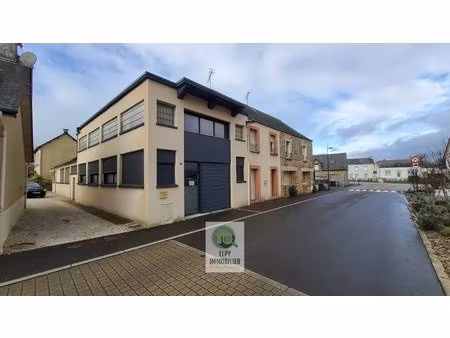 locaux d'activité