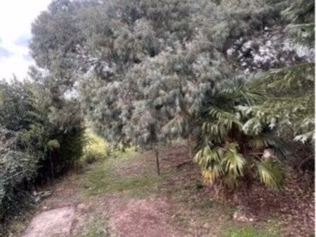 vente terrain montech