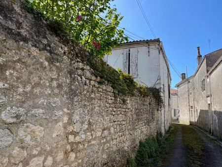 vente immeuble 240 m² pont-l’abbé-d’arnoult (17250)