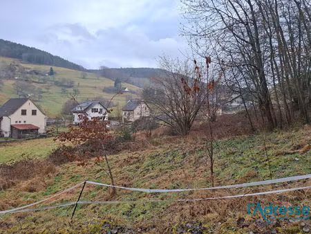 vente terrain  1000.00m²  orbey