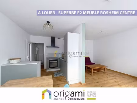 location appartement 2 pièces 45m² rosheim 67560