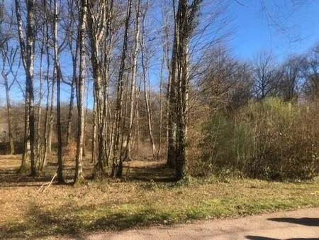 saint-fargeau (89170)