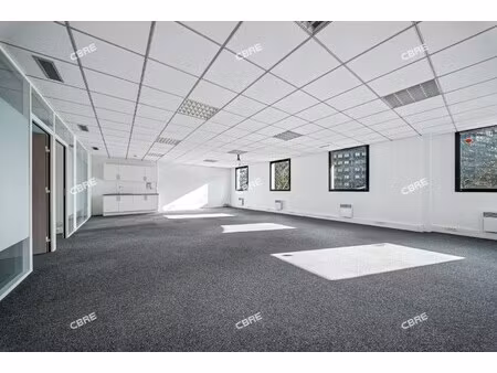 location local professionnel 411m²