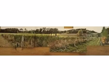 saint-amans-des-cots (12460)