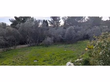 vente maison 1000 m² nîmes (30000)