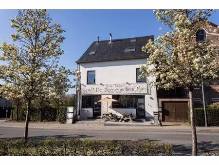 commercieel te koop in affligem