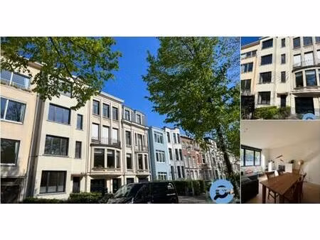 appartement à louer à koninklijkelaan 85 berchem (rbv23163)