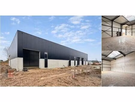 surface industrielle à louer à z.3 doornveld 60 zellik (rbv23238)