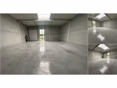 surface industrielle à louer à sint-pieters-leeuw (rbv22960)