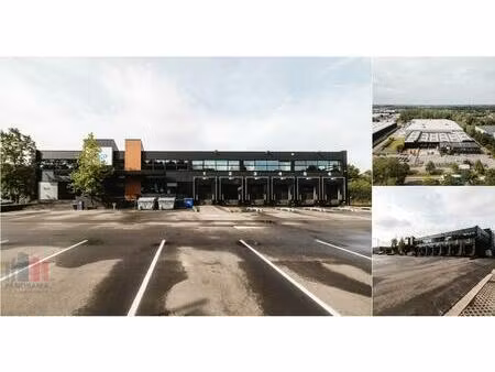 surface industrielle à louer à rijksweg 19 bornem (rbv23304)